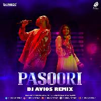 Pasoori (Remix) - DJ Avios